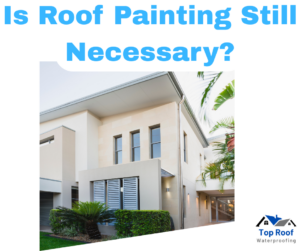 Read more about the article Roof Painting in Gauteng: Is It Really Necessary or Just a Luxury?